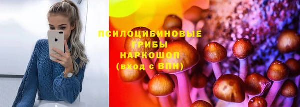 прущий лед Богородск