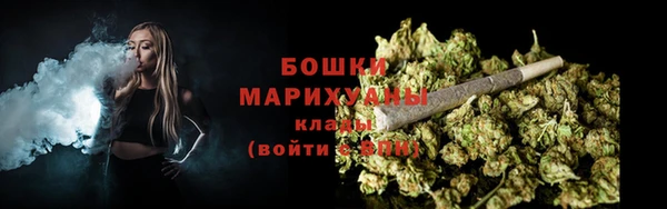 первитин Богданович
