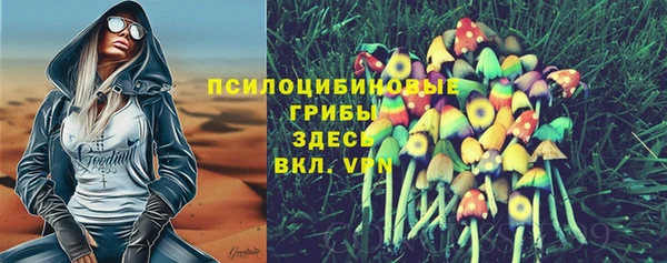 первитин Богданович